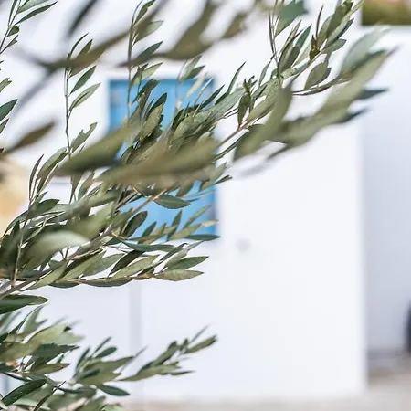 Gianemma Luxury * Milopótasz