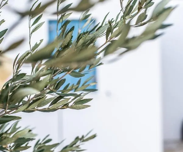 Gianemma Luxury * Μυλοπότας