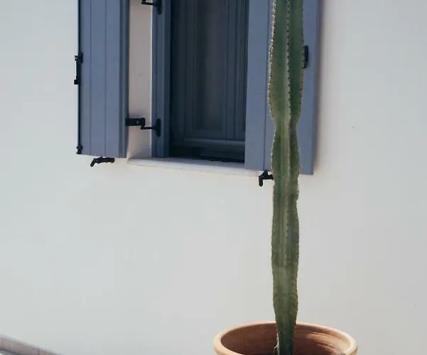 Gianemma Luxury * Μυλοπότας