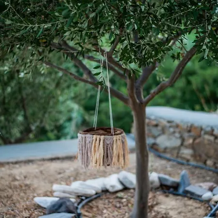 Gianemma Luxury Милопотас