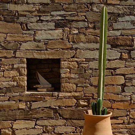 Gianemma Luxury * Милопотас