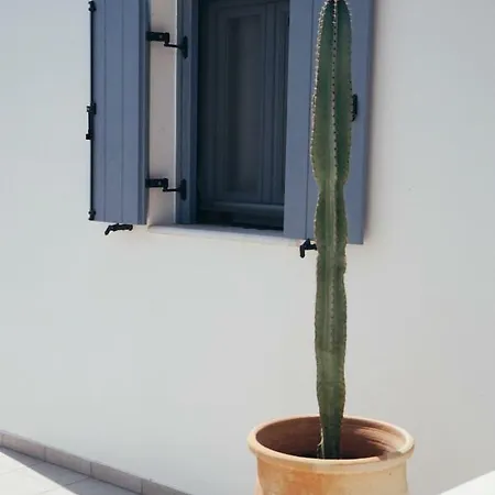 Gianemma Luxury * Mylopotas